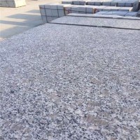 Polished Pearl Flower G383 Granite